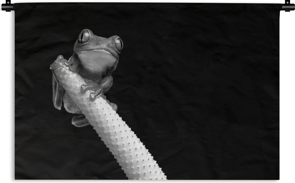 MuchoWow Wandteppich Wandbehang Kleiner Laubfrosch vor schwarzem Hintergrund - schwarz und weiß 120x80 cm Tapisserie Dekoration Wandtuch - Wandd...