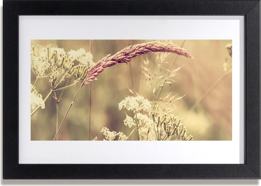 Bild 30x20 MDF-Rahmen Wandkunst Wilde Pflanzen Natur
