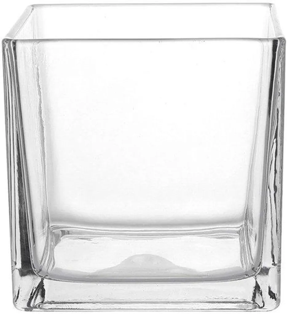 Vase cubique en verre transparent pour culture hydroponique moderne