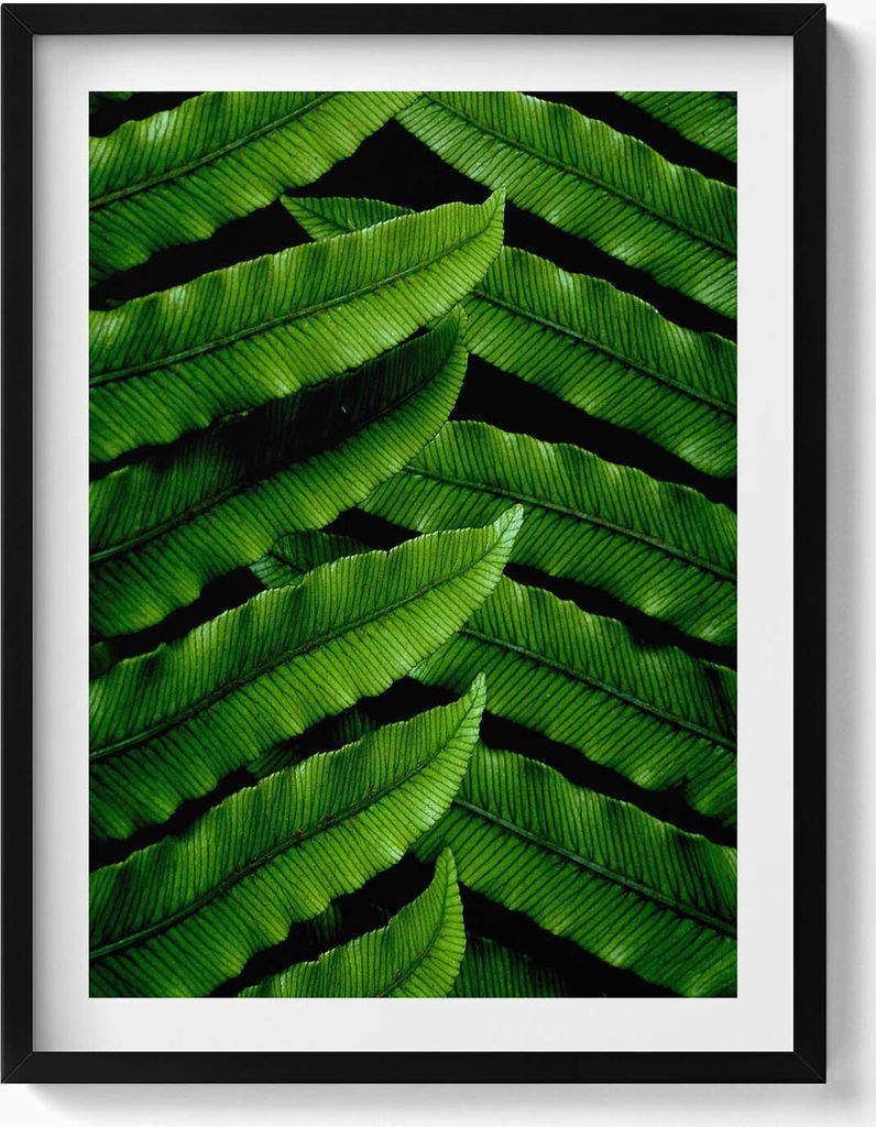 Grüne Blätter in Nahaufnahme– Wandbild mit Rahmen – Gerahmtes Bild – Wanddekoration – 60x80 cm – Schwarz Rahmen