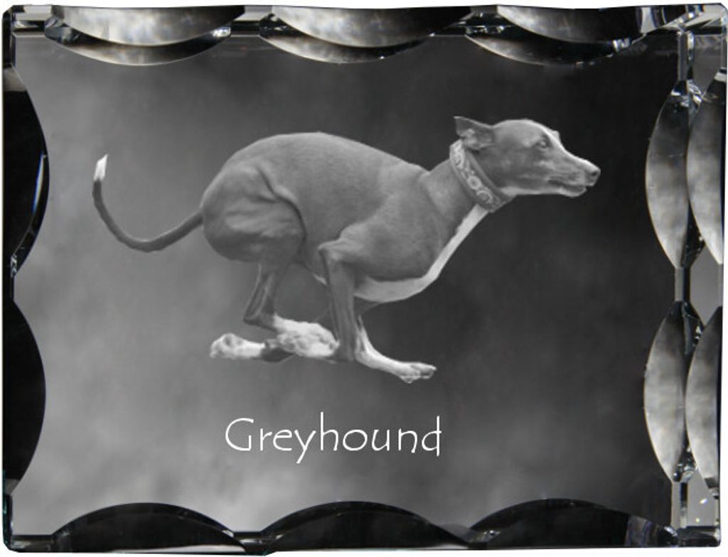 Greyhound, Grosser Englischer Windhund - Kristall mit einem Hundebild, Glasstatuette mit einem Bild, einzigartiger Bilderrahmen der Marke Art-Dog