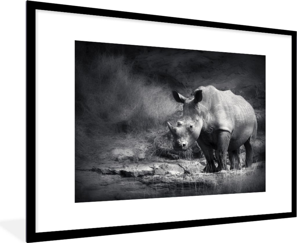 MuchoWow Gerahmtes Poster Rhinozeros - Natur - Gras - Schwarz - Weiß 90x60 cm - Poster mit Schwarzem Bilderrahmen Wandposter Rahmen Foto Bilder ...