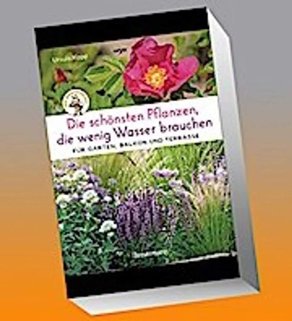 Stop aux Plantes Mortes de Soif : Guide des Plantes Ultra-Résistantes