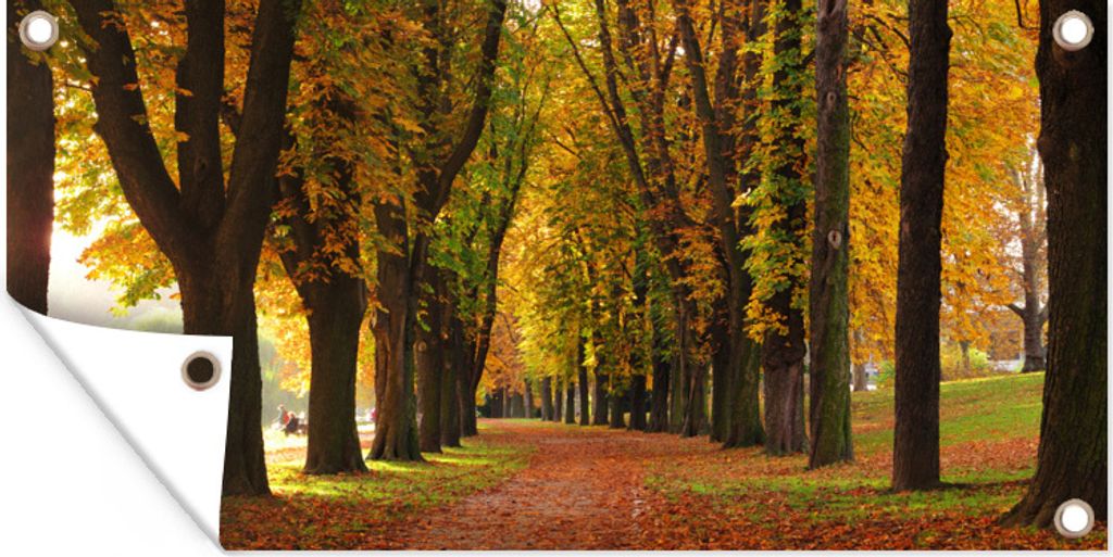 MuchoWow 60x30 cm Outdoor-Poster Gartendeko Sichtschutz Garten Poster für den Garten Eine von Kastanienbäumen gesäumte Straße in Stuttgart, ...