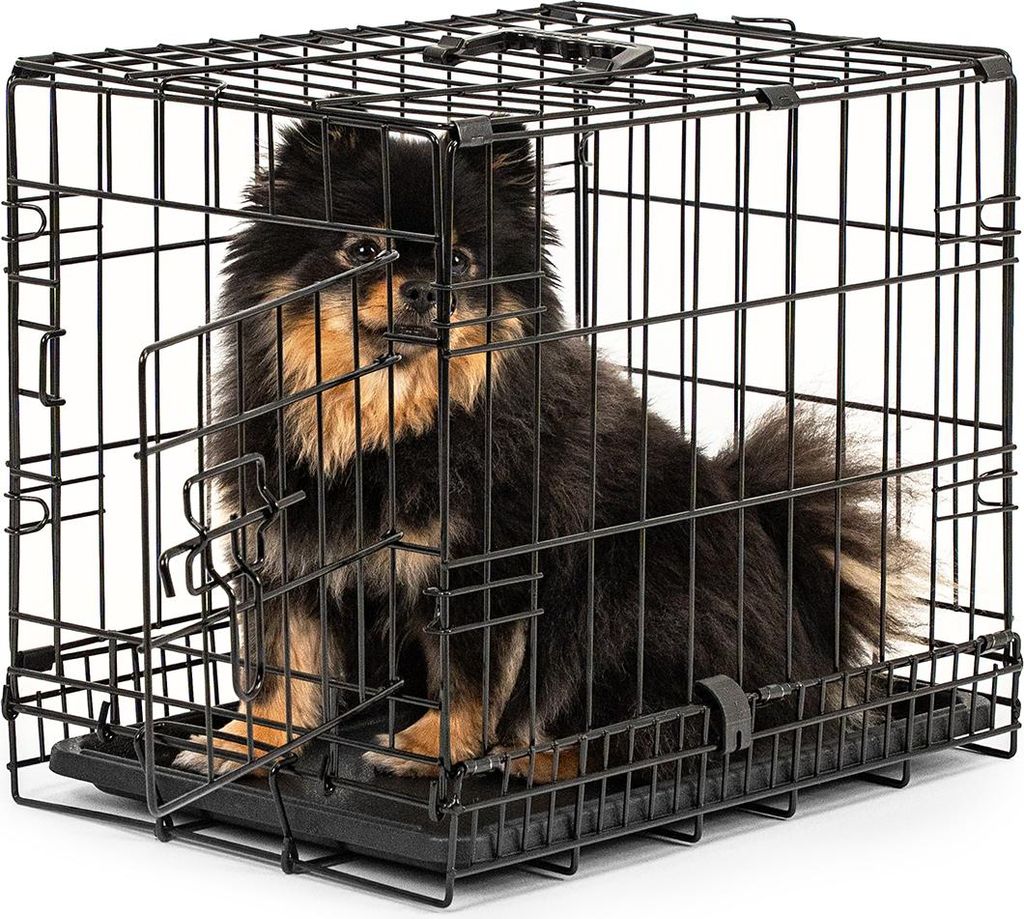 A small black and tan dog sits inside a black wire dog crate.