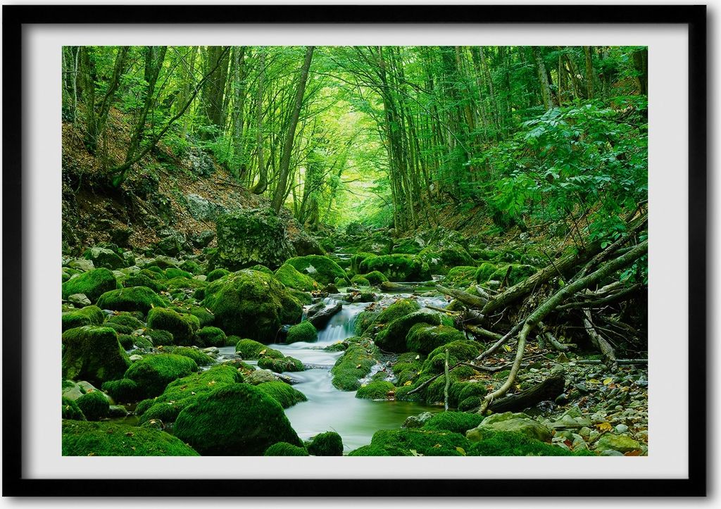 Bild - Bilder - Bilderrahmen - 70 cm x 50 cm - MDF-Rahmen, Wandkunst Bach im Wald
