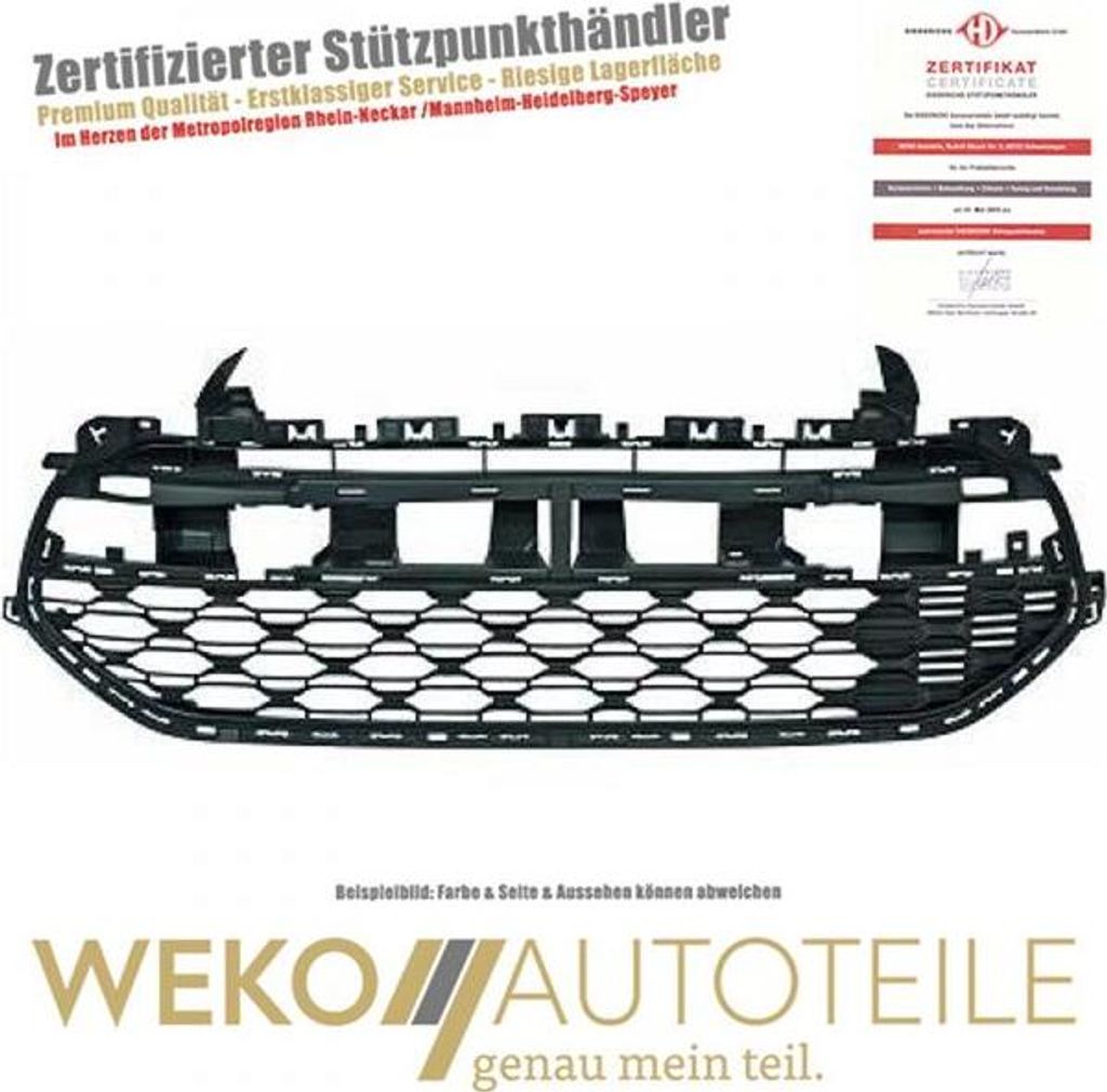 Lüftungsgitter Stoßstange unten DIEDERICHS 4073645 für CITROËN