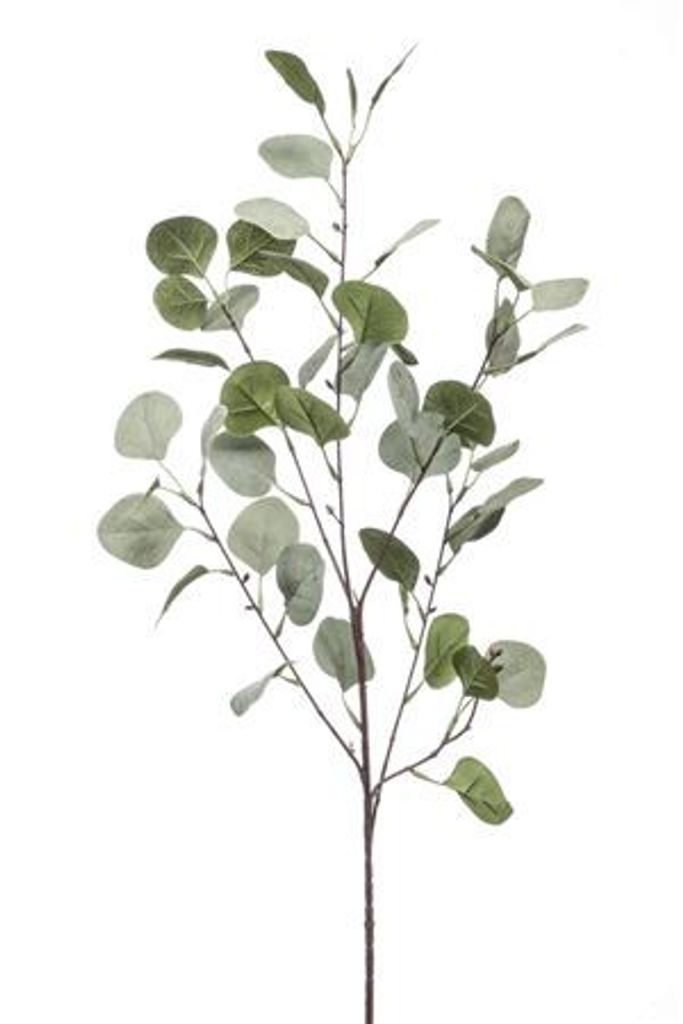 künstlicher Eucalyptus Zweig Kunstblätter H. 87cm grün Produktbild 