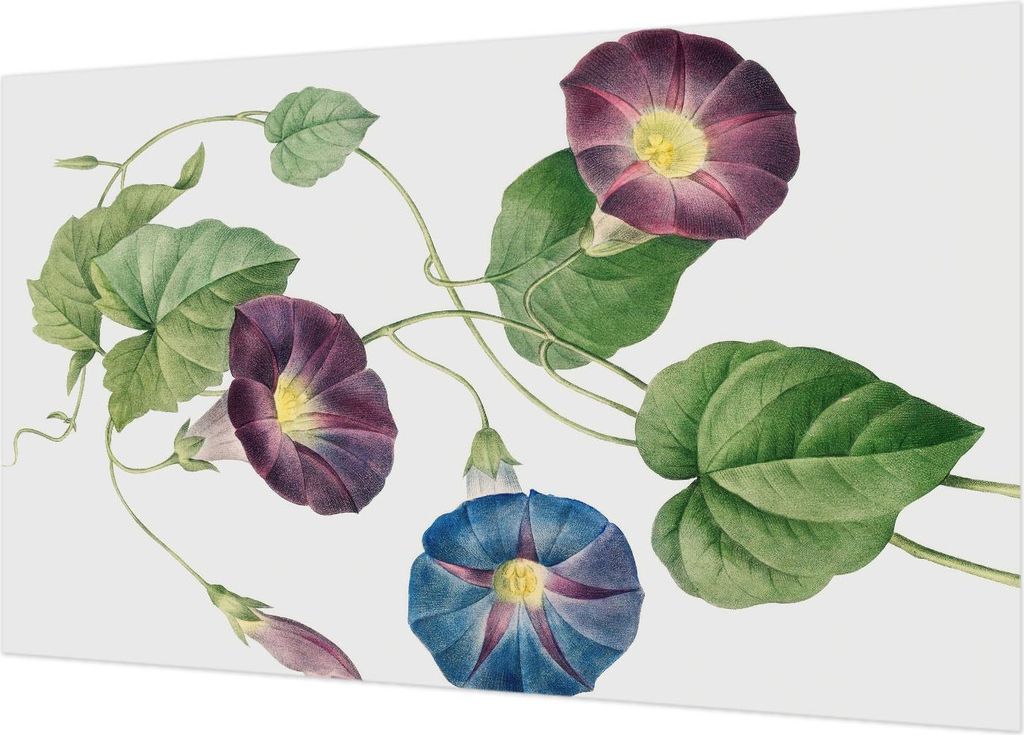 Fototapete - Wandbilder für Wohnzimmer - 416x254 - Dekorative Wandfolie - Modernes Design für Wanddekoration - Tapeten für Innenräume - Florist...