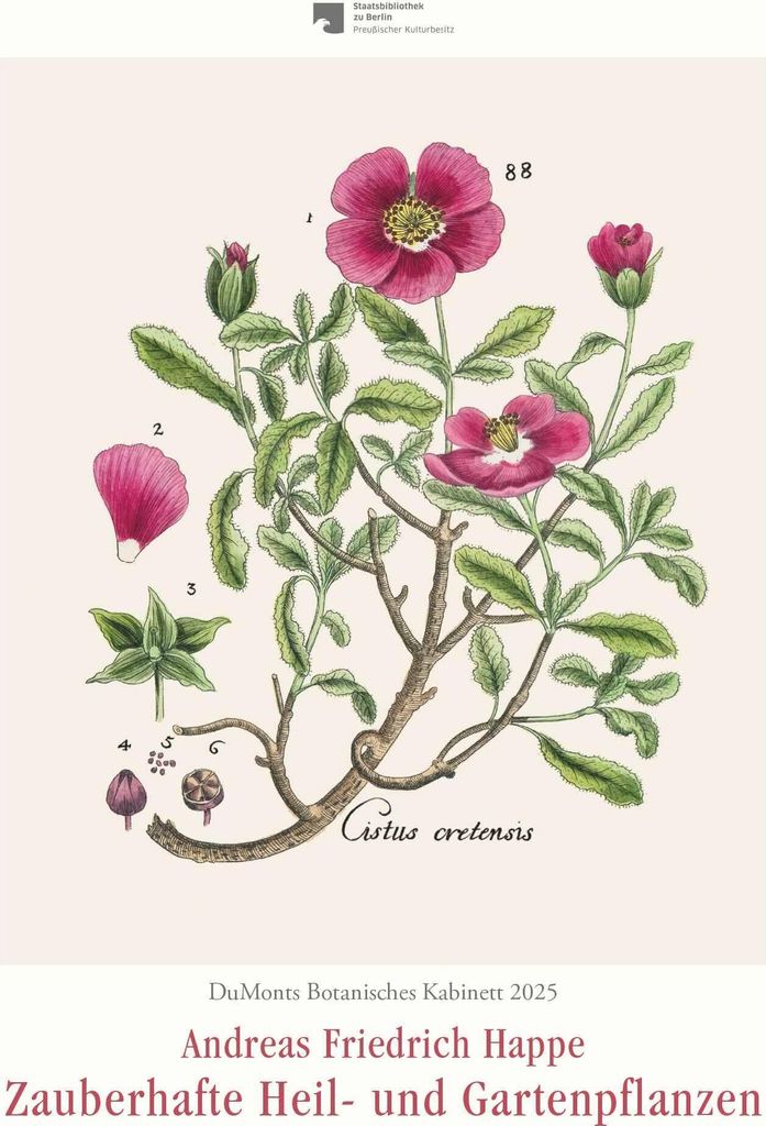 DuMonts Botanisches Kabinett - Zauberhafte Heil- und Gartenpflanzen - Illustriert von F.A. Happe - Kunstkalender 2025 - Wandkalender im Hochformat ...