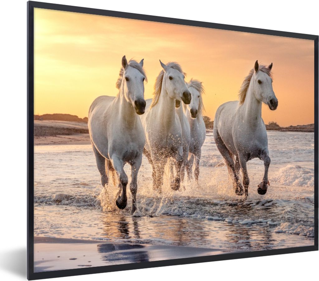 MuchoWow Gerahmtes Poster Pferde - Sonne - Meer - Strand - Tiere 80x60 cm - Poster mit Schwarzem Bilderrahmen Wandposter Rahmen Foto Bilder - Sch...