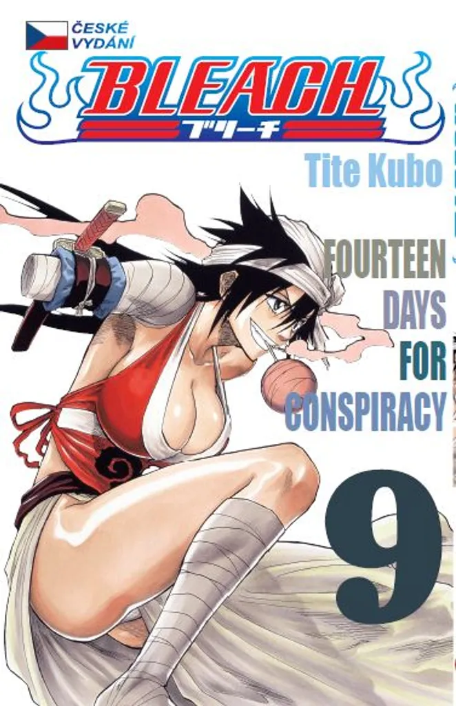 Bleach Tome 9 Complot Soul Society Tome Manquant pour Finir la Série