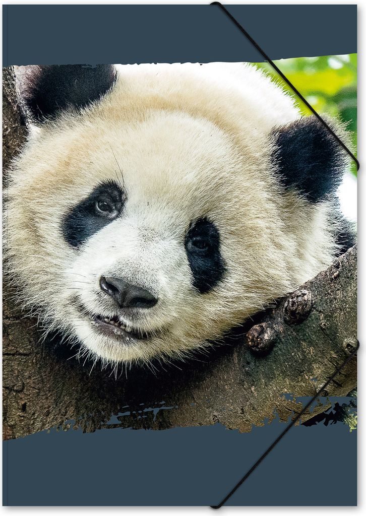 itenga Gummizugmappe Zeichenmappe A3 Motiv Panda Produktbild 