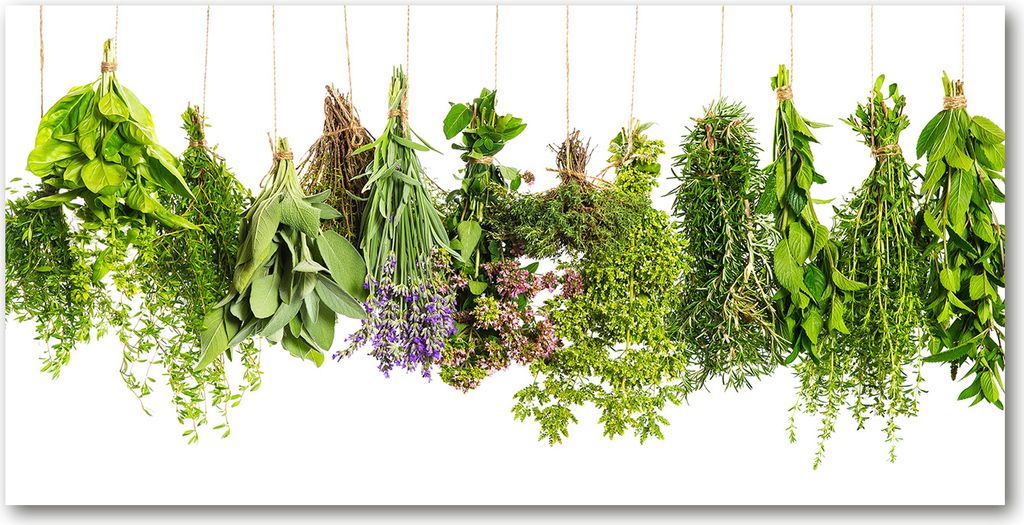 Tulup Leinwandbild -100x50 cm - Wandkunst - Drucke auf Leinwand - Leinwanddruck - Essen & Getränke - Grün - Kräuter an Schnur