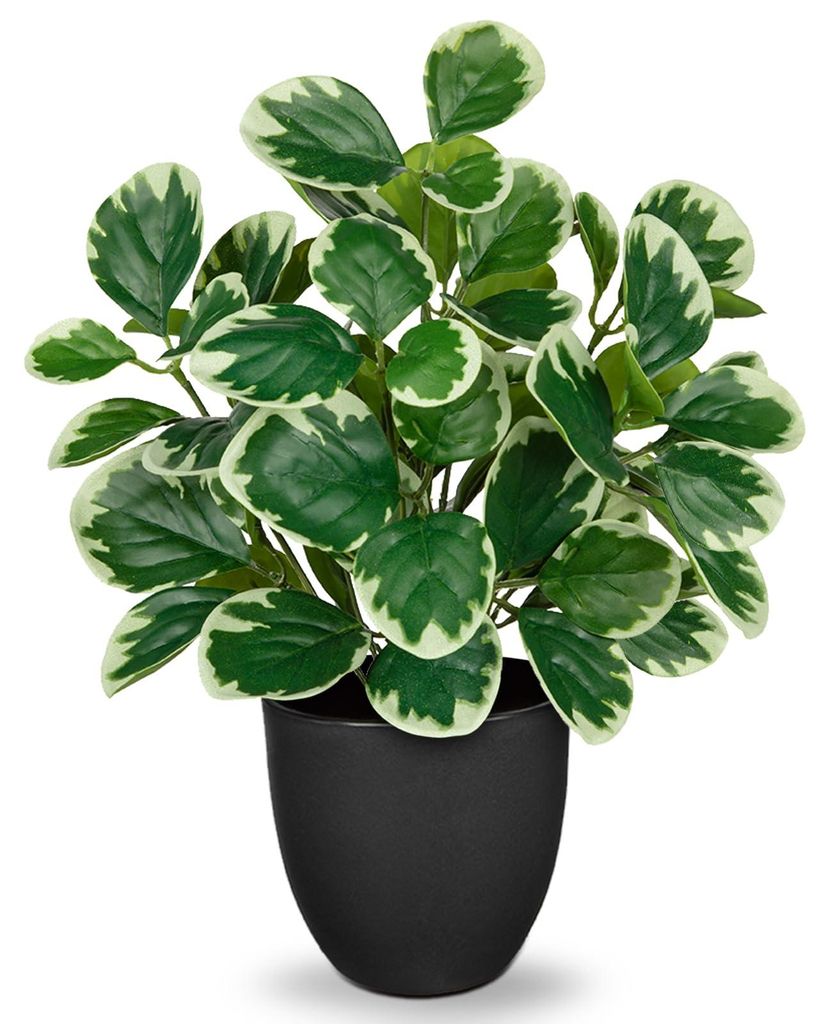 37 cm große künstliche Pflanzen im Topf, künstliche Zimmerpflanzen, künstliche Peperomia mit Minzblättern, Schreibtischdekoration, Bonsai, kü...