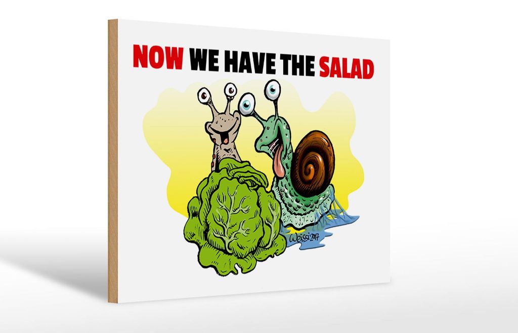Holzschild Spruch 30x20cm Now we have the salad Schnecken Produktbild 