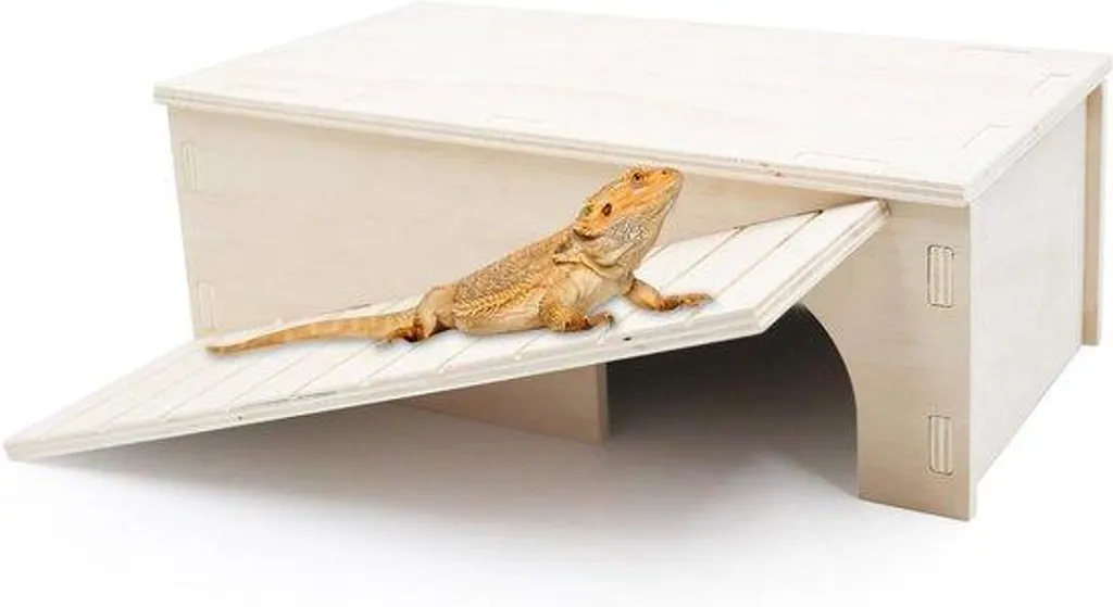 Terrarium naturel pour reptiles en bois massif avec système de chauffage