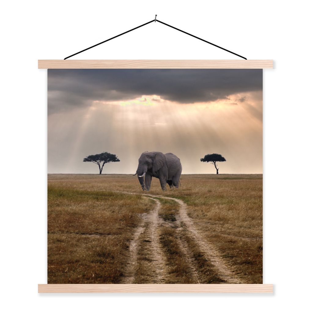 MuchoWow Textilposter Elefant - Tiere - Wiese - Sonne 120x120 cm mit holzfarbenen Rahmen - Textil-Poster