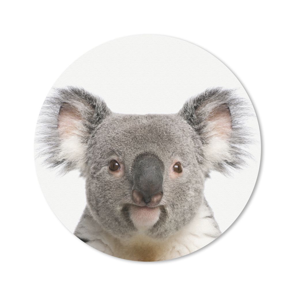MuchoWow Mauspad Mousepad Tiere - Koala - Weiß 50x50 cm - Mousepads - Maus Mat - Pad - Mausunterlage - Vinyl