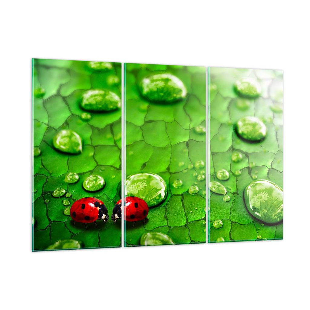 Bilder auf glas - Marienkäfer Gras Blatt Tropfen - 165x110cm - Glasbilder - Wandbilder - Kunstdruck - zum Aufhängen bereit - Wanddekoration aus G...