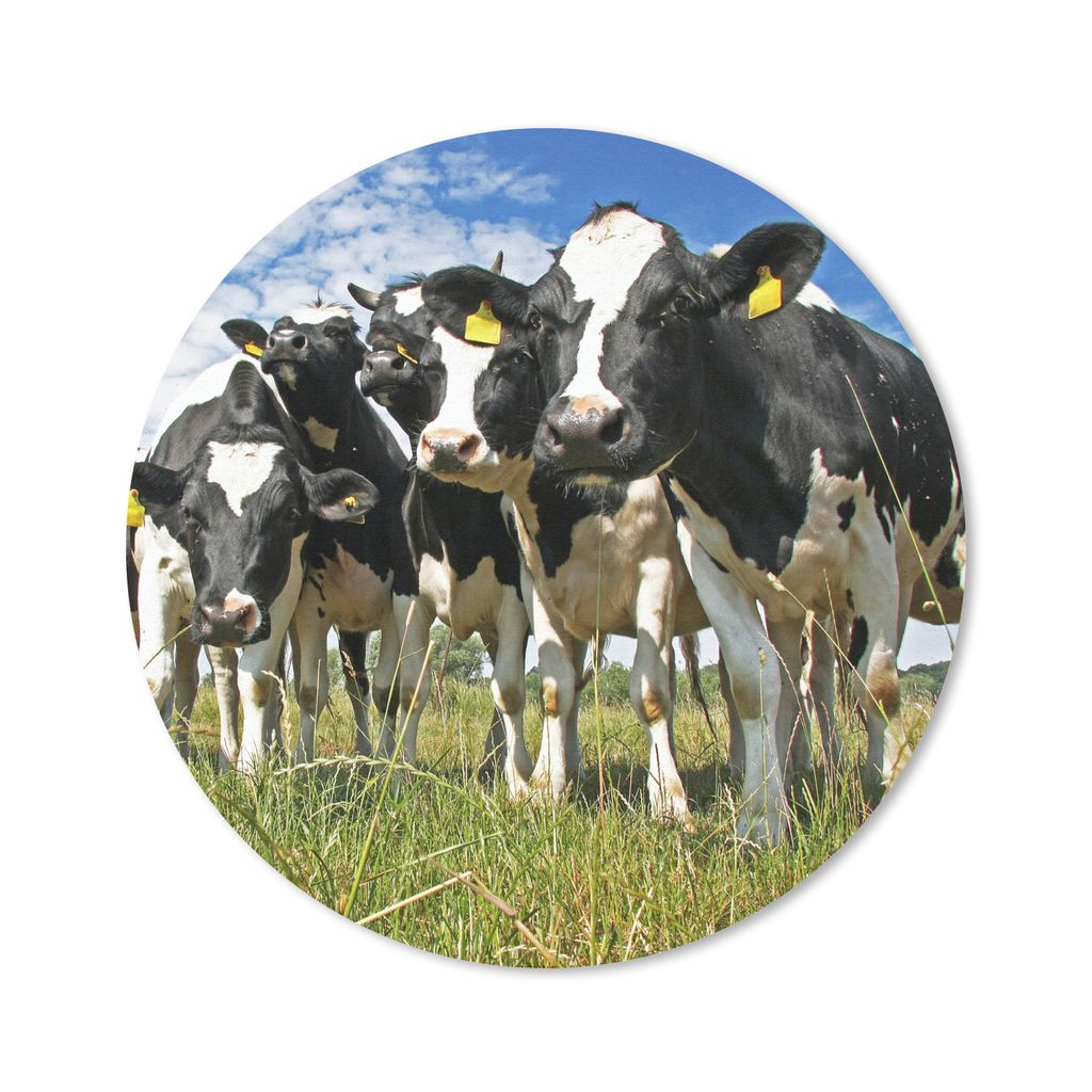 MuchoWow Mauspad Mousepad Kühe - Gras - Wiese - Tiere 40x40 cm - Mousepads - Maus Mat - Pad - Mausunterlage - Schreibtisch Accessoires