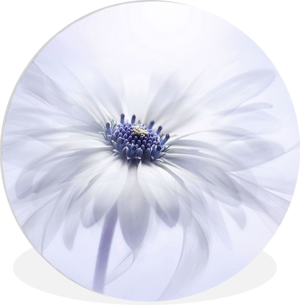 MuchoWow Rundes Wandbild - Runde Bilder Blume - Abstrakt - Weiß Ø 90 cm Kreis Wanddekoration Kunststoff - Wandkreis - Wandschmuck - Wand-Kreis ...