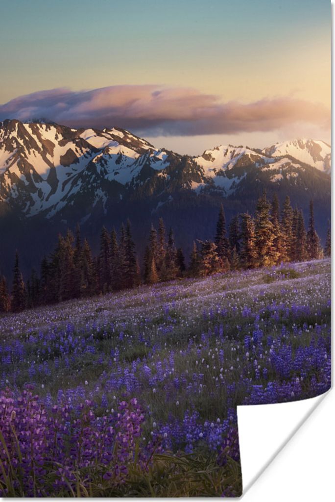 MuchoWow Poster Farbenfrohe Landschaft in Washington 40x60 cm - Plakate für die Wand - Poster Babyzimmer