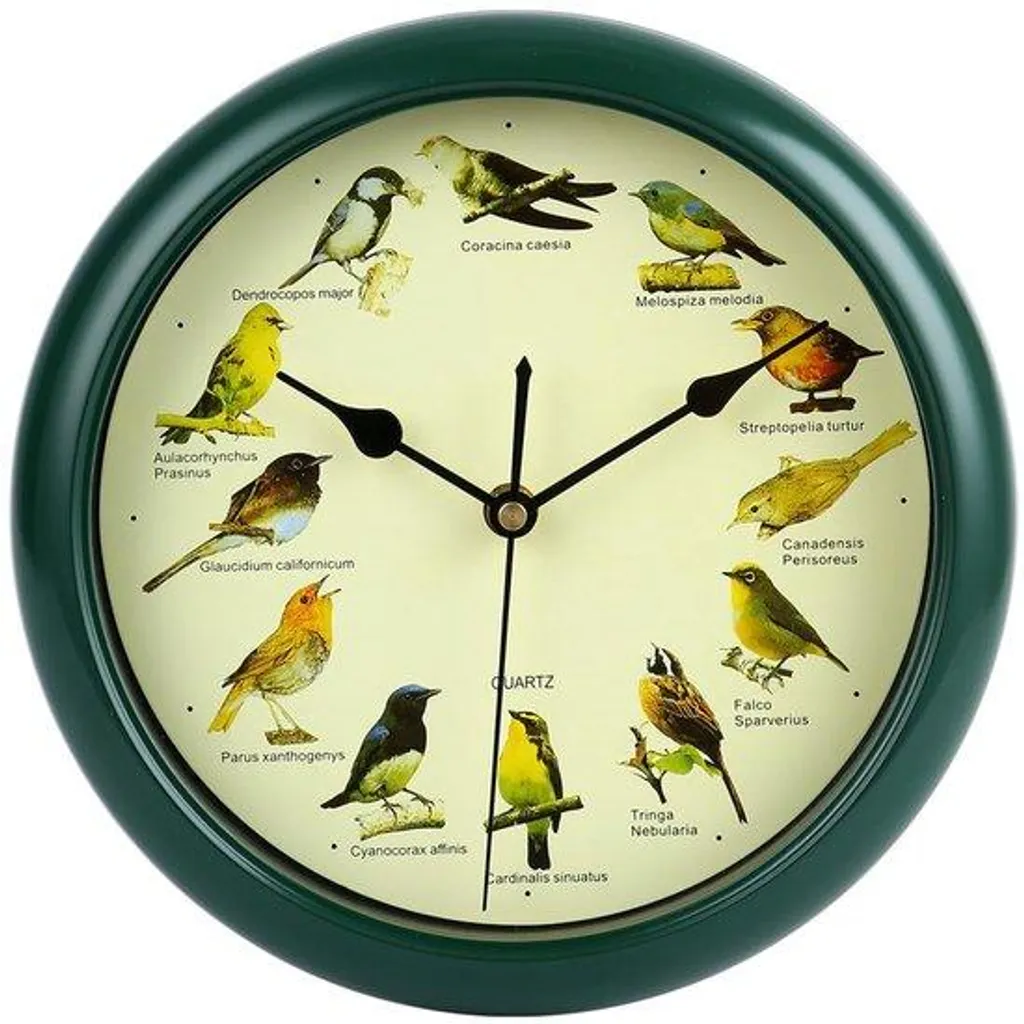 Horloge murale sons d'oiseaux verte : silence la nuit et déco relaxante