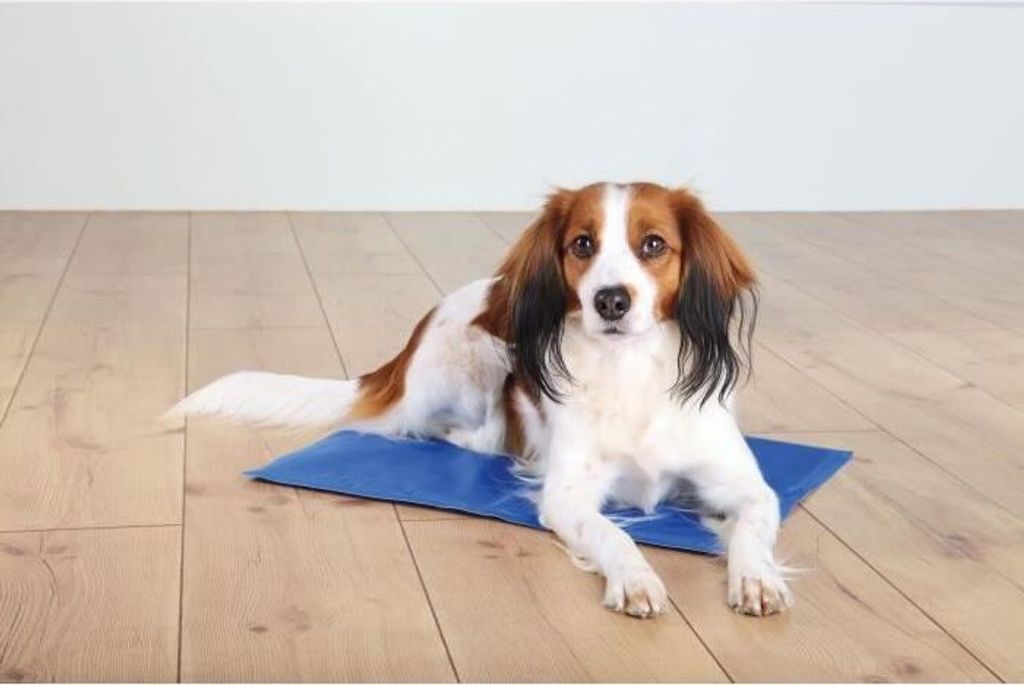 Trixie Kühlmatte, Blau - 110 x 70 cm Produktbild 10