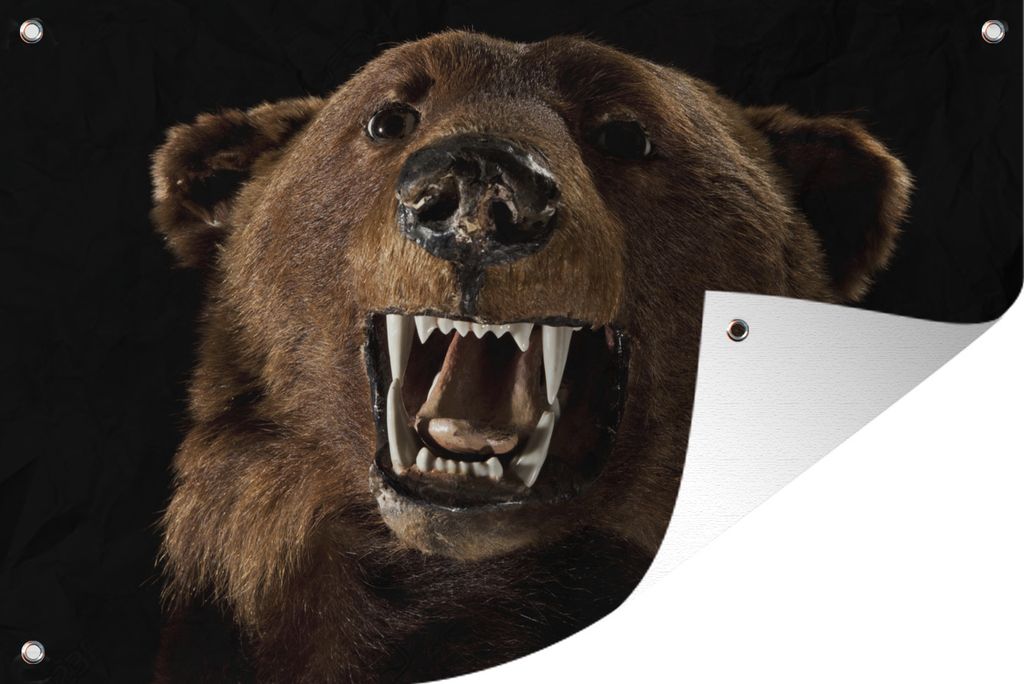 MuchoWow 120x80 cm Outdoor-Poster Gartendeko Sichtschutz Garten Poster für den Garten Ausgestopfter Bär auf schwarzem Hintergrund