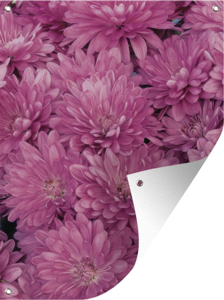 MuchoWow 30x40 cm Outdoor-Poster Gartendeko Sichtschutz Garten Poster für den Garten Blühende rosa Chrysantheme