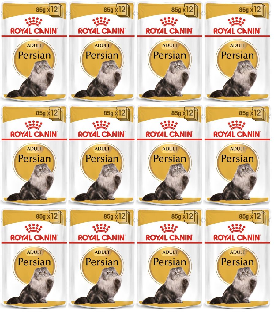 Royal Canin Adult Persian - komplettes Nassfutter mit Pastete für ausgewachsene Perserkatzen, 12 Beutel à 85 g