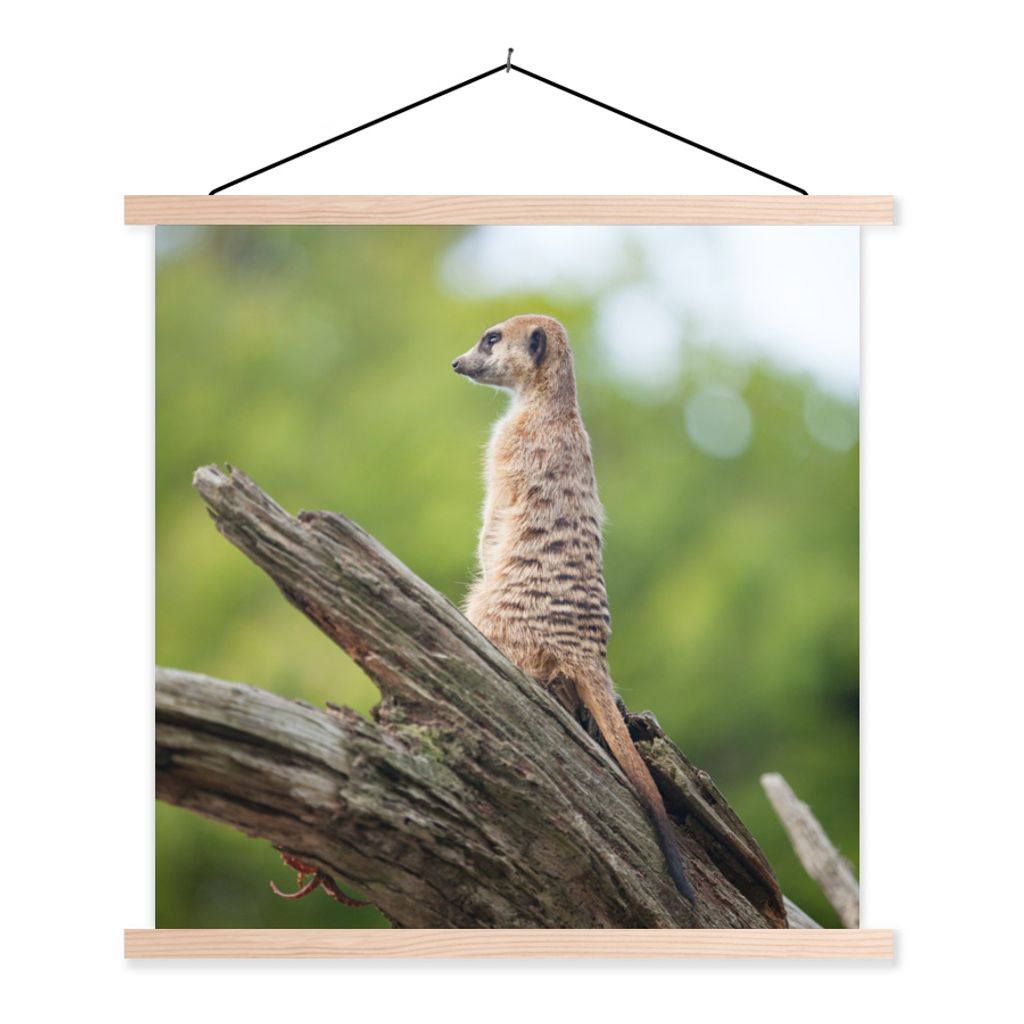 MuchoWow Textilposter Erdmännchen - Ast - Baum 120x120 cm mit holzfarbenen Rahmen - Textil-Poster
