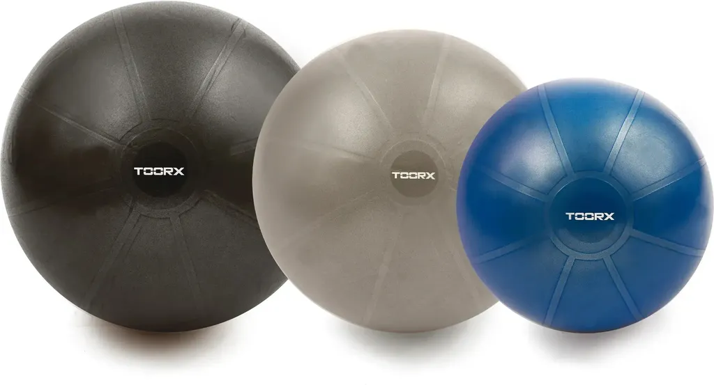Ballon de fitness professionnel 75 cm Toorx PRO pour Gym et Yoga 500 kg