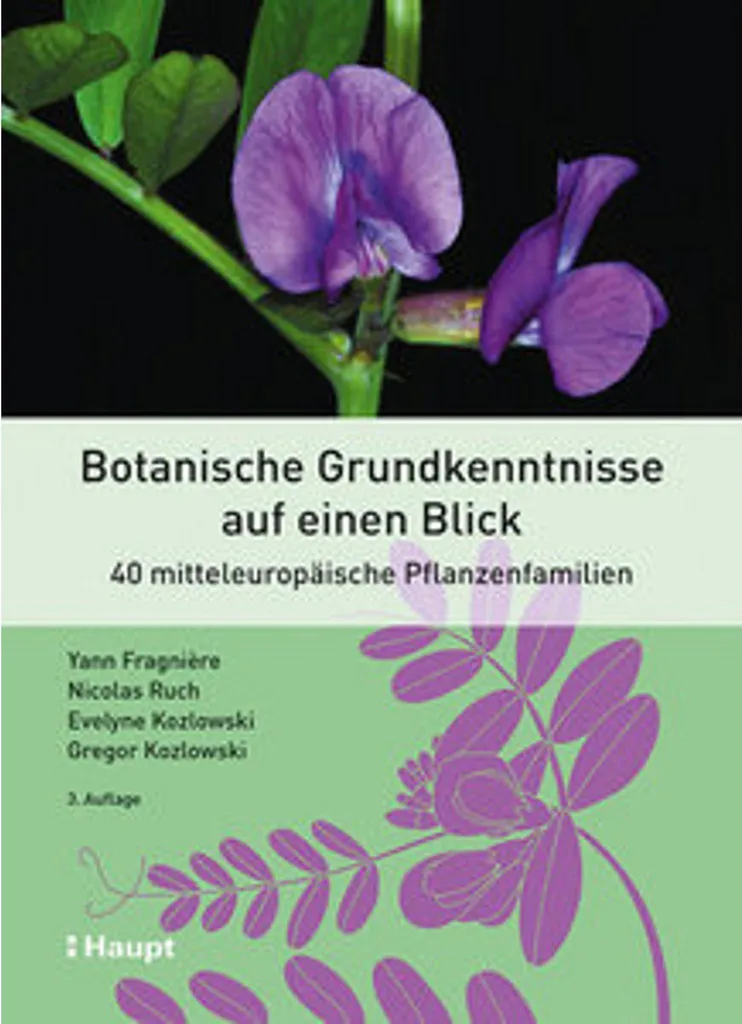Affiche Botanique Botanische Grundkenntnisse - Guide des Plantes 50x70cm