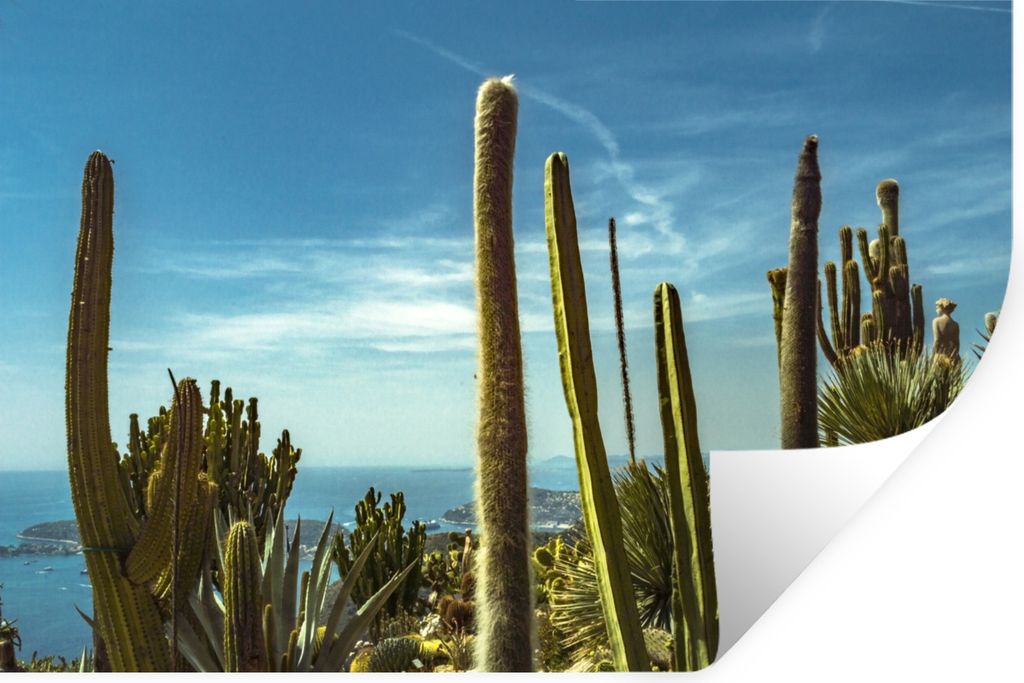 MuchoWow - Wierderverwendbar - Selbstklebend