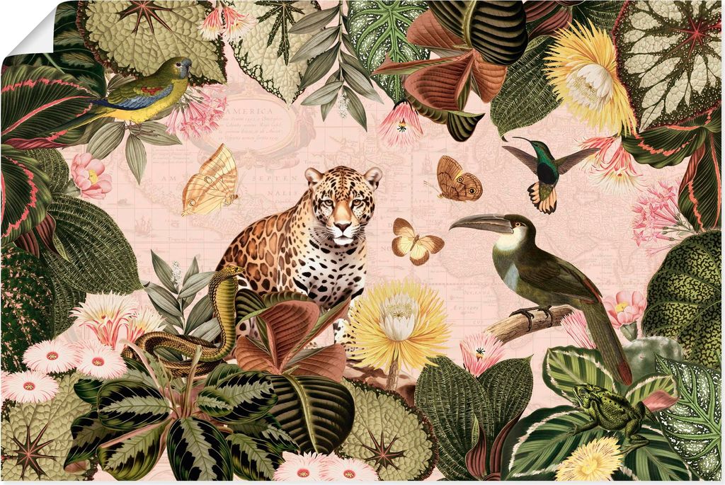 ARTland Poster Exotische Tiere im tropischen Regenwald Größe: 30x20 cm