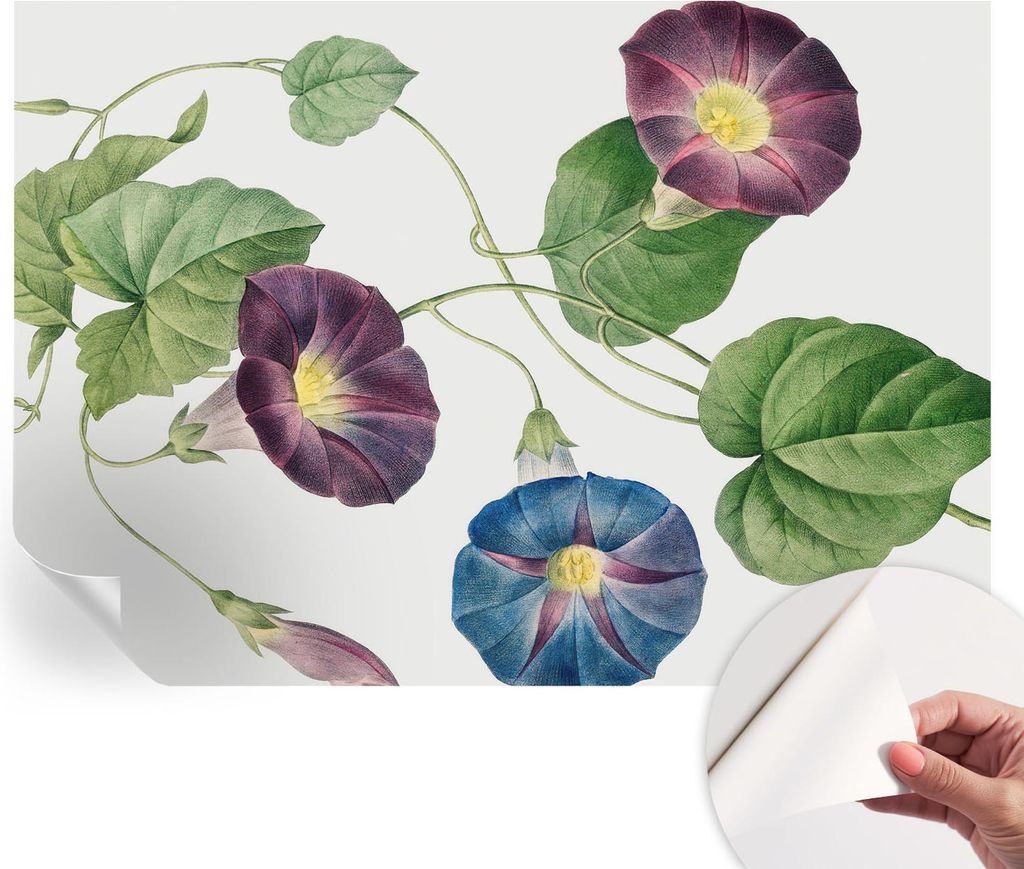 Selbstklebende Wandtapete - Dekorative Tapete für Wohnzimmer - Klebefolie für Wandbilder - Tapetenfolie für Wanddekoration - 208x146 cm - Floris...