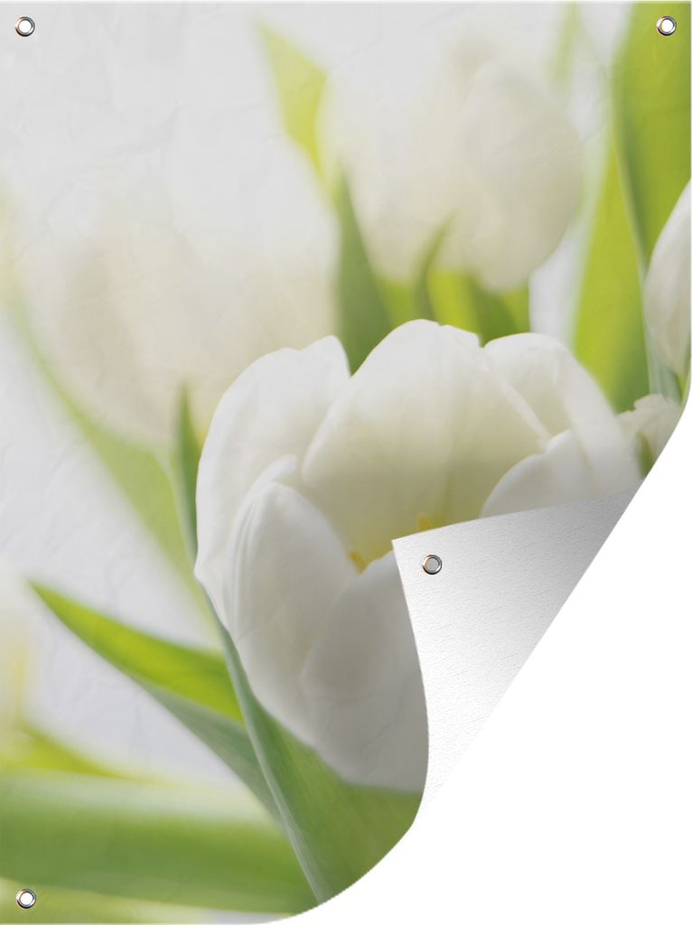 MuchoWow 30x40 cm Outdoor-Poster Gartendeko Sichtschutz Garten Poster für den Garten Nahaufnahme einer weißen Tulpe