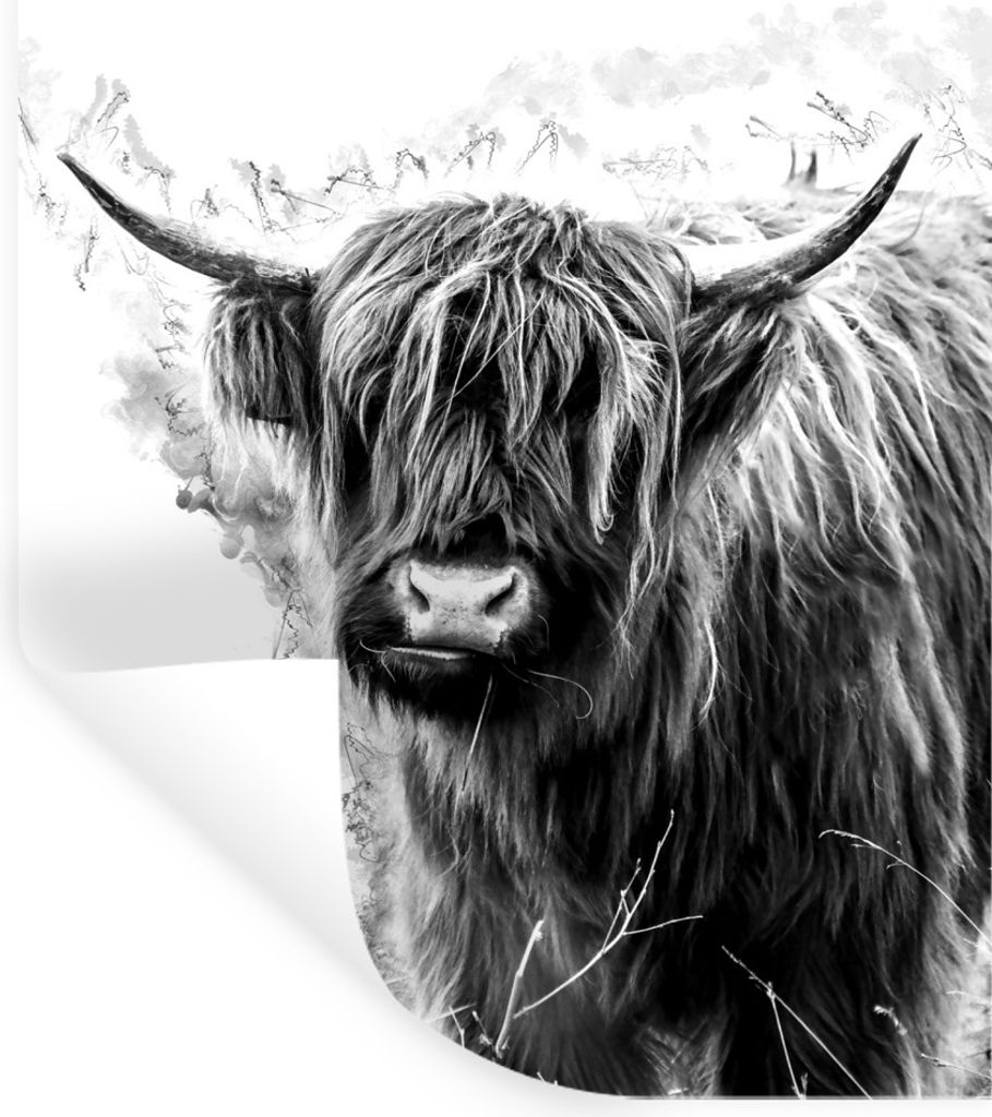 MuchoWow Wandtattoo Wandsticker Wandaufkleber Schottischer Highlander auf speziellem Hintergrund - schwarz und weiß 60x90 cm Selbstklebend und R...