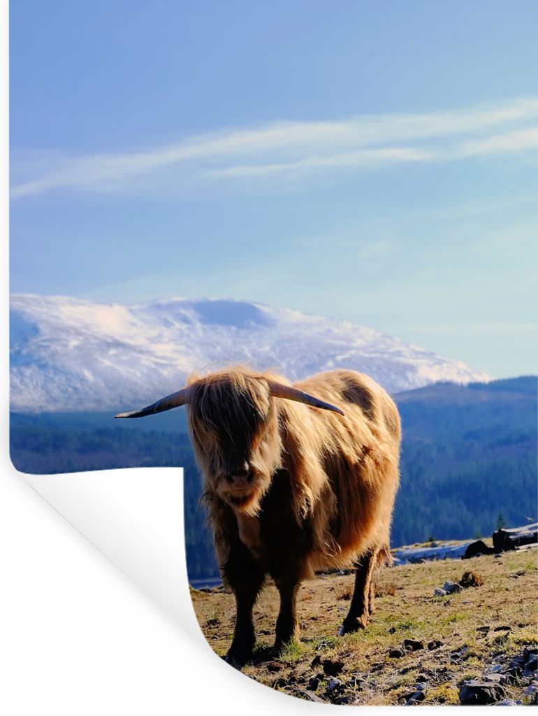 MuchoWow - Wierderverwendbar - Selbstklebend