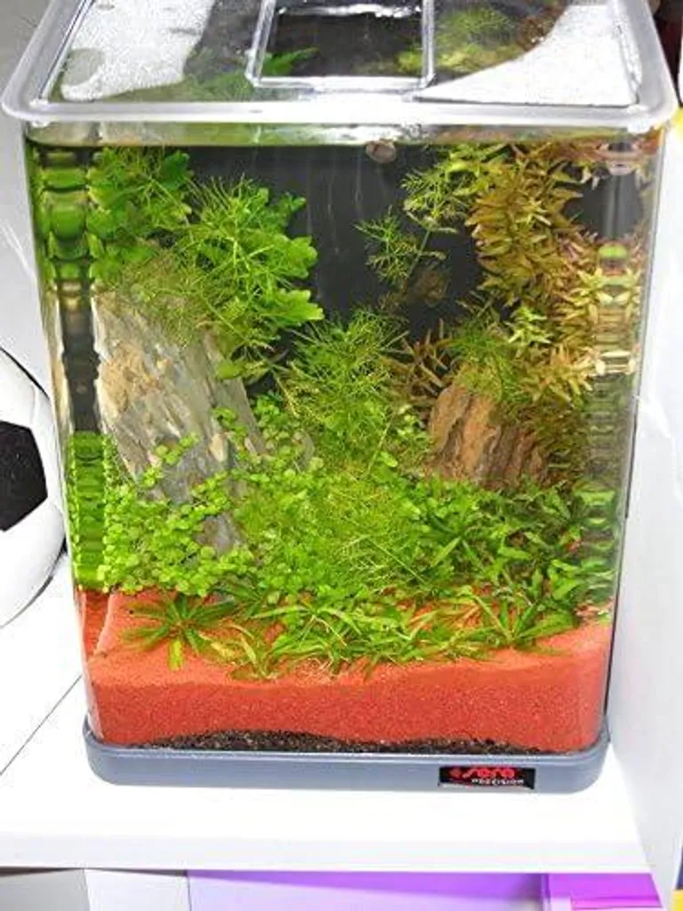 sera Nano LED Cube 16L avec éclairage LED basse consommation performant - 6