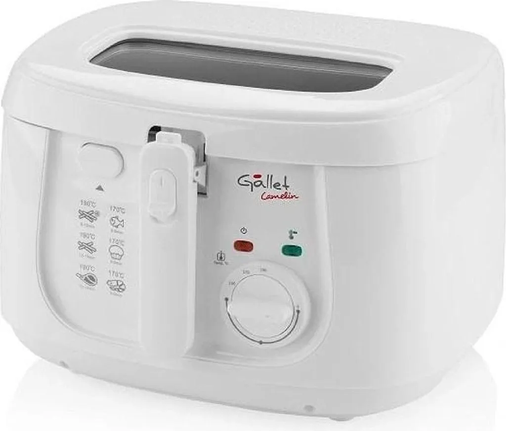 Friteuse 1800 W performante avec thermostat réglable et capacité 2,5L