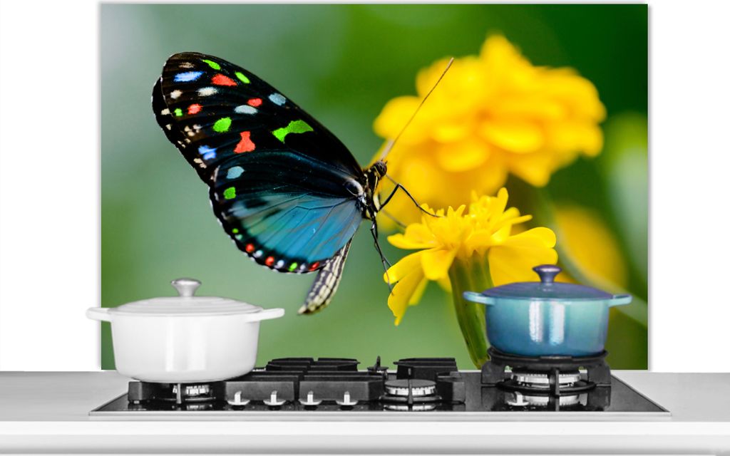 KitchenYeah Spritzschutz Küche - Küchenrückwand - Wandschutz für Herd und Spüle - Schmetterling - Blume - Tier - Insekt 100x65 - Alu-Dibond...
