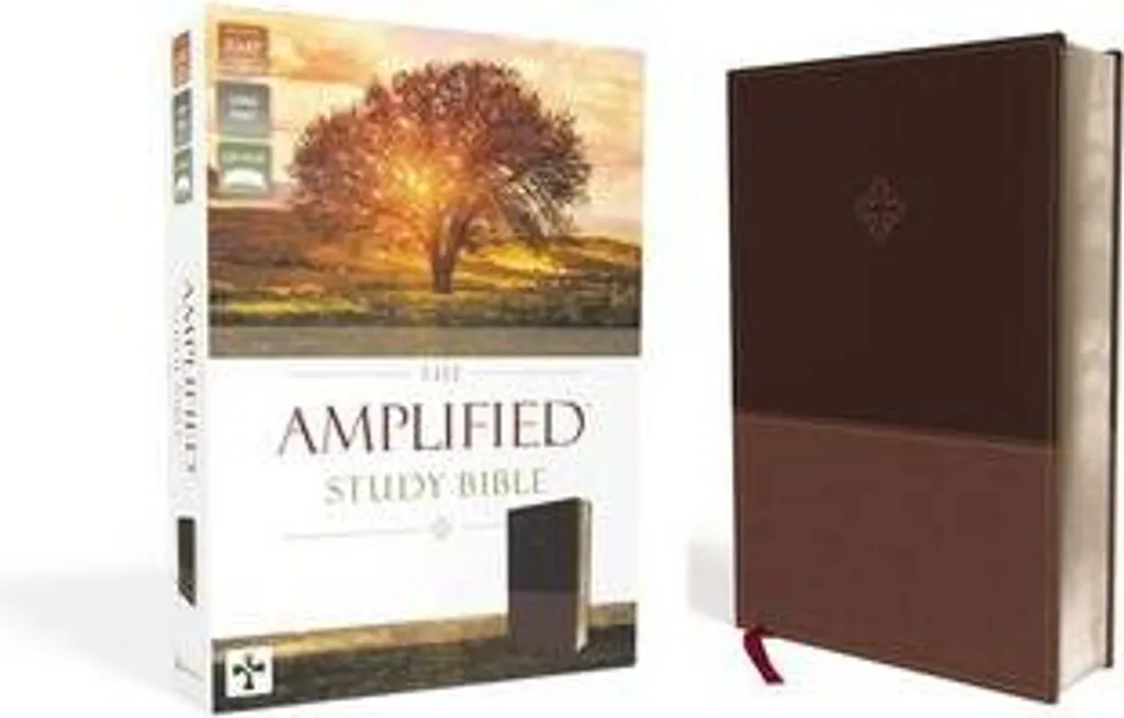 Bible d'étude Amplified en simili-cuir marron - Édition complète Holy Bible