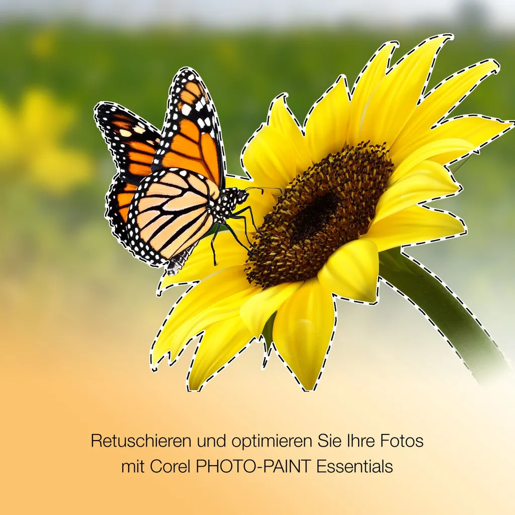 CorelDRAW Essentials 2024 Version Complète FR sans Abonnement Windows - 4