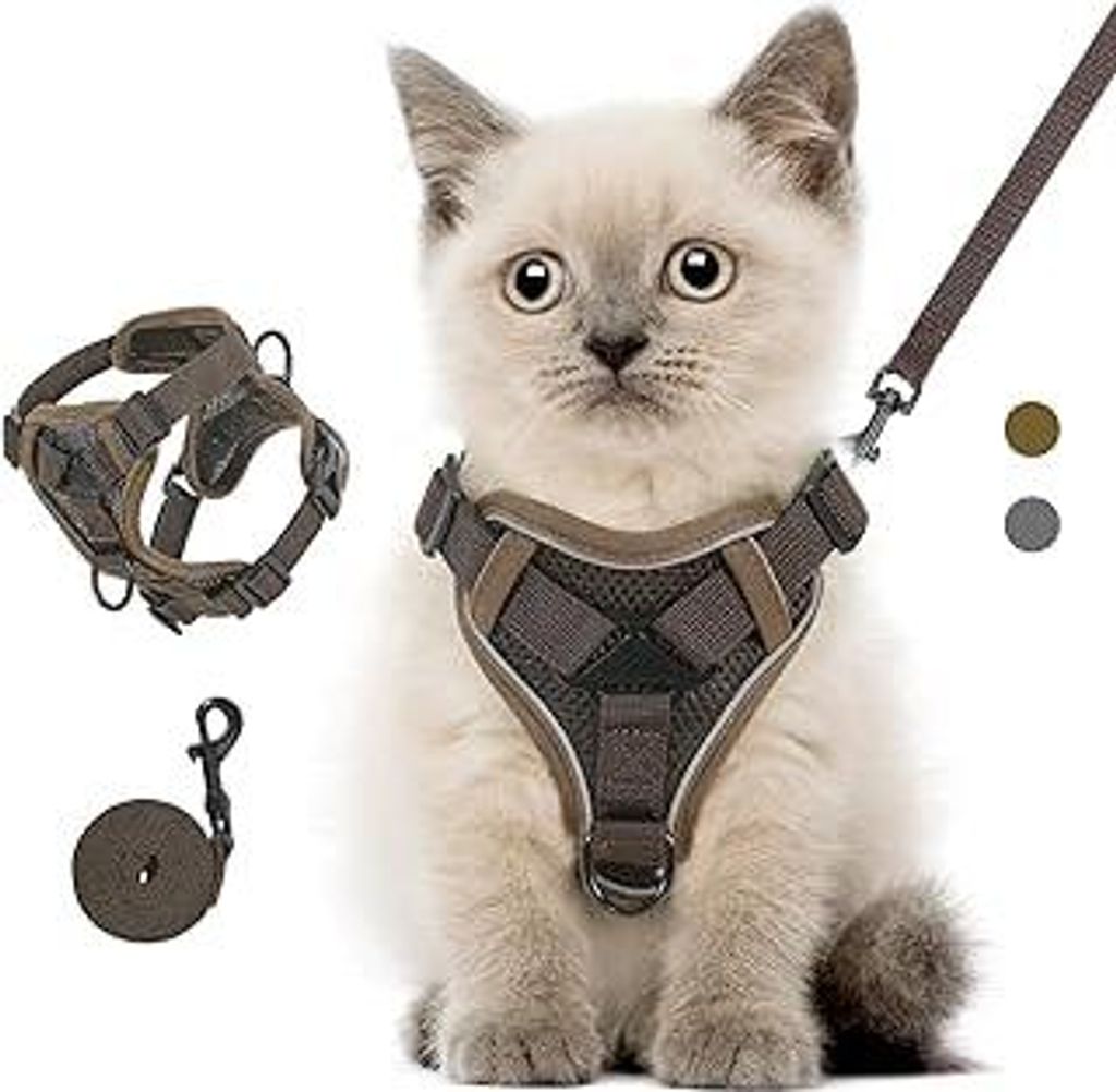 Katzengeschirr und Leine Set für Spaziergänge, Einstellbar Kätzchen Weste Geschirr mit Reflektierend Streif, Flucht Beweis Haustier Sicherheitsw...