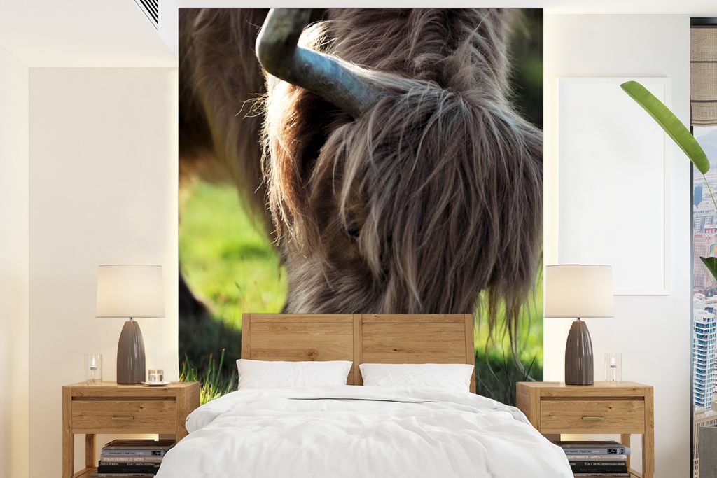 MuchoWow Fototapete für Wohnzimmer oder Schlafzimmer Wandtapete Vinyl Motivtapete Schottischer Highlander - Hörner - Sonne - 205x280 cm - Wandbild