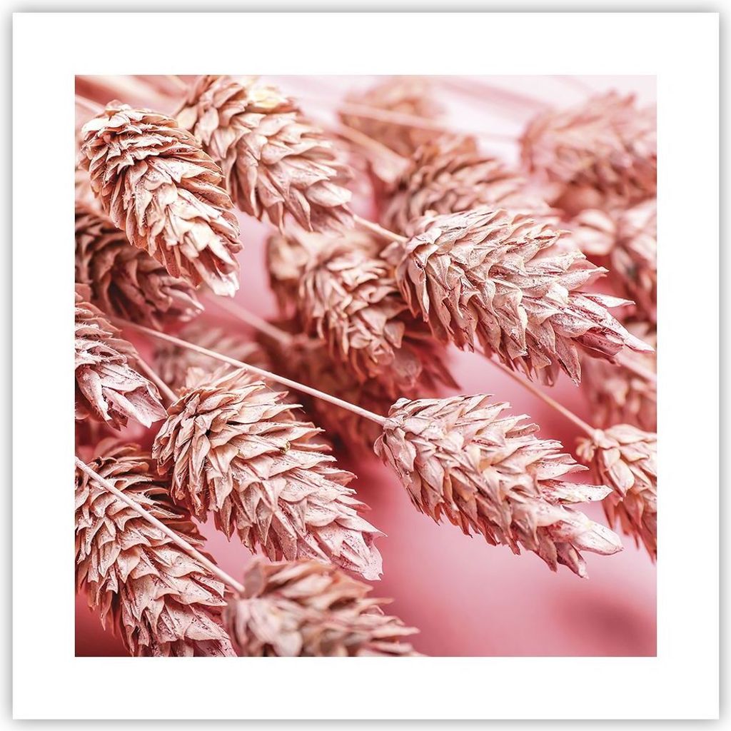 Poster - Poster ohne Rahmen - Klinge Gras getrocknet - 40x40 cm - Wand Bild - Wanddeko - Wandbilder - Kunstposter - Wandposter - Bilder - Kunstdruc...