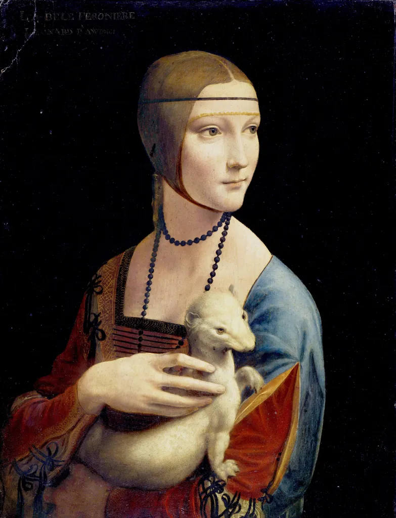 D-Toys Puzzle Leonardo da Vinci La Dame à l'hermine - 1000 pièces Art